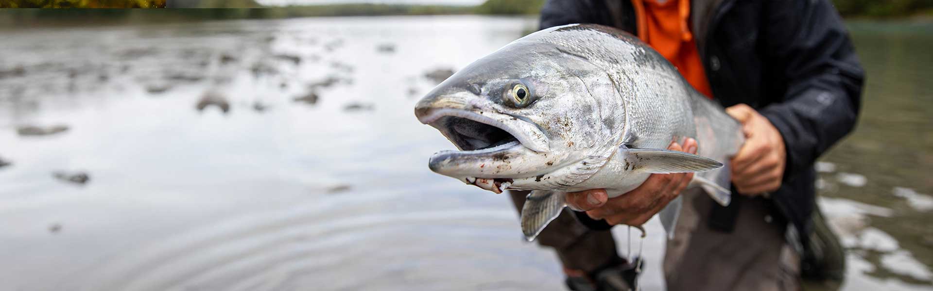 Edge Rods Salmon Rods