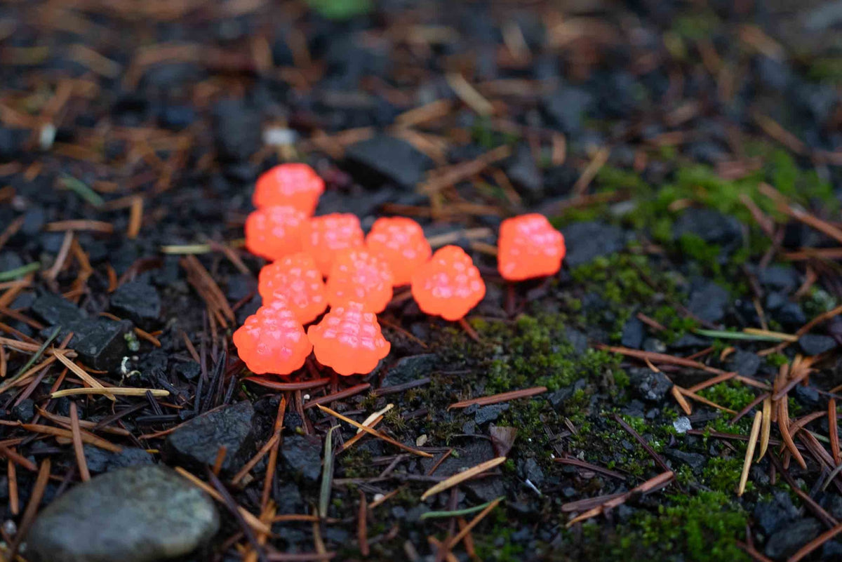 VIP Outdoors Soft Cluster "Salmon Haze" 15mm - 10 Pack