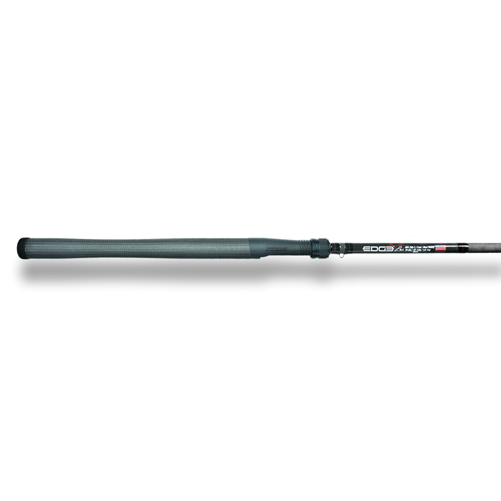 FSS ISR 765-1
