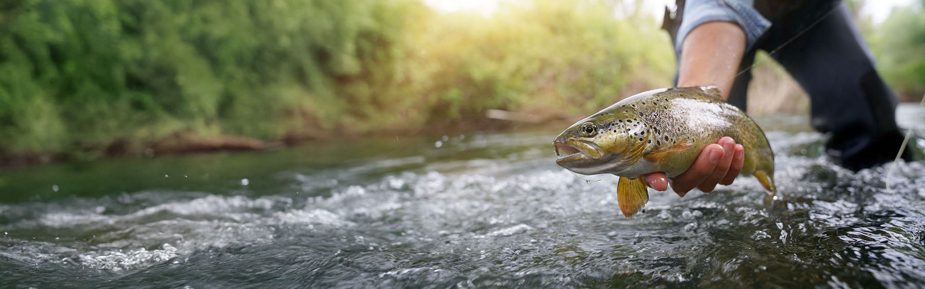 Edge Rods Trout Rods