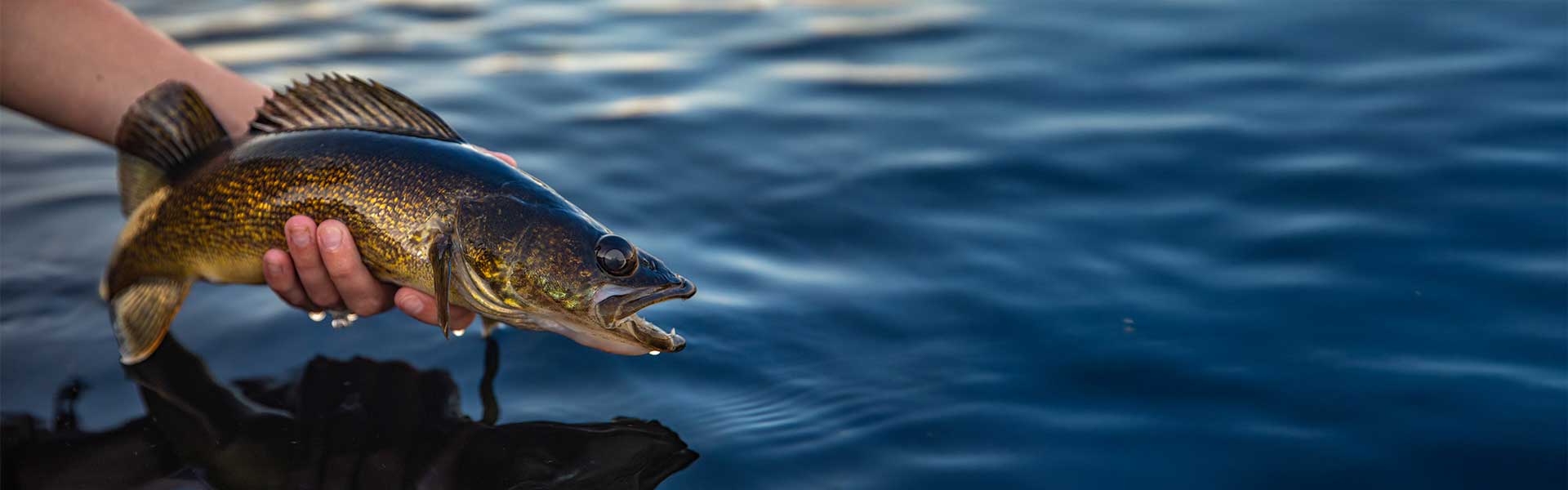 Edge Rods Walleye Rods