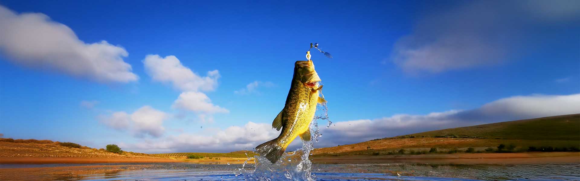 Stryker Bass Rods