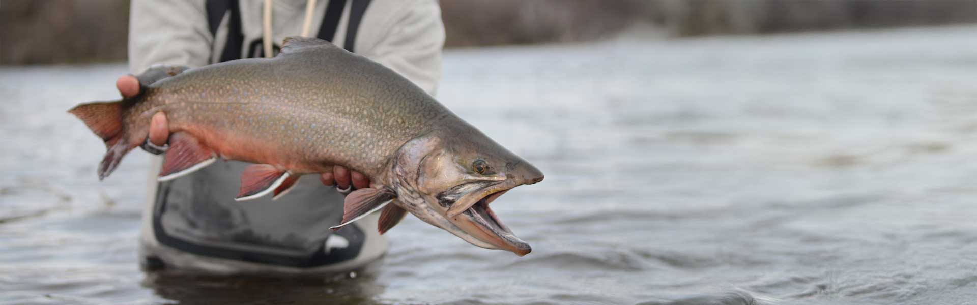 Stryker Steelhead Rods