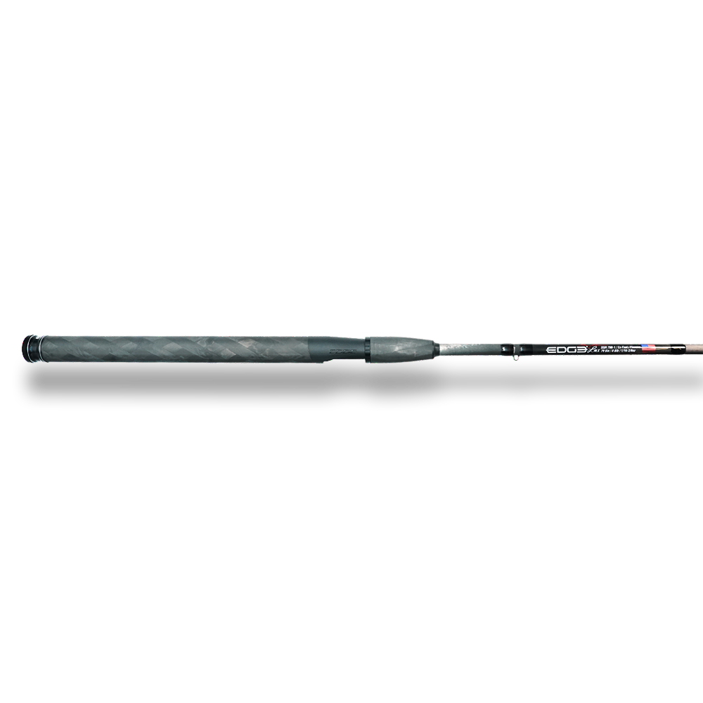 BWS DSR 760-1