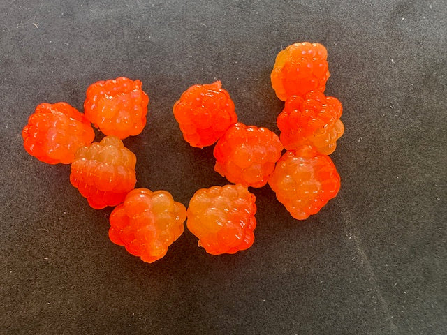 VIP Outdoors Soft Cluster "Maui Waui"  15mm - 10pack